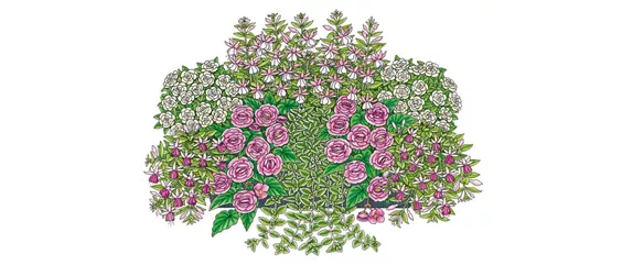 ROSA-PINKE PFLANZIDEEN