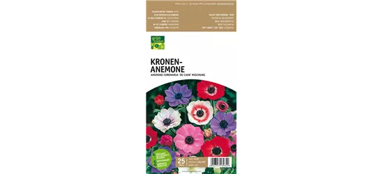 Kronen-Anemone