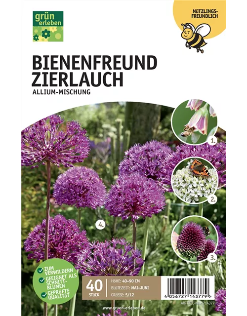 Allium Mischung