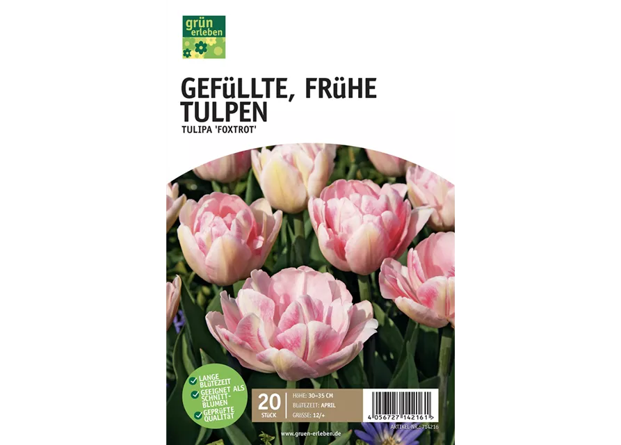 Frühe Tulpen, gefüllt