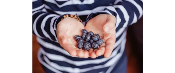 KINDER SPIELERISCH IN DIE ERNTE EINBEZIEHEN