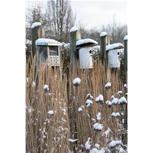 WEIHNACHTLICHE STIMMUNG IM GARTEN